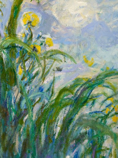 El Iris Amarillo (detalle) de Claude Monet